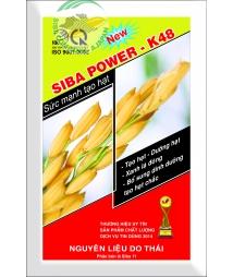 SIBA POWER - K48